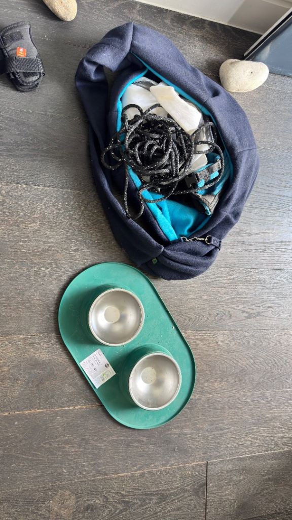 FREE Pet travel bag with bowls and lead