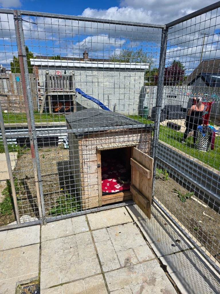 Dog cages and dog box 