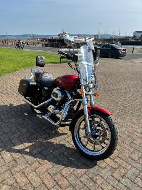 Harley-Davidson, SPORTSTER SuperLow 2019, 1202 (cc)