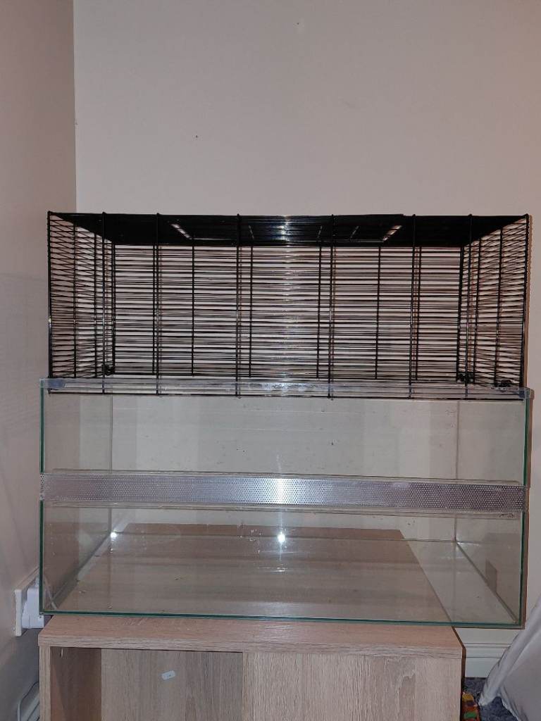 Large glass gerbil tank
