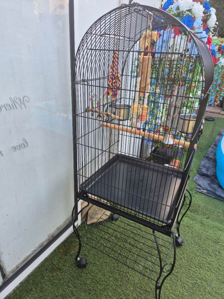 Bird/parrott cage 