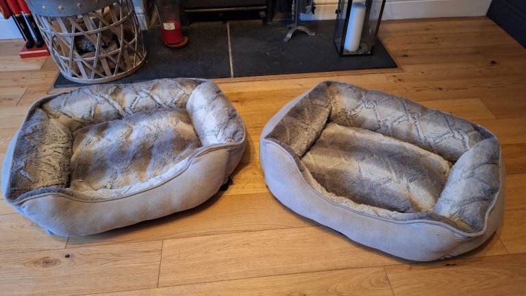 Free Dog Beds
