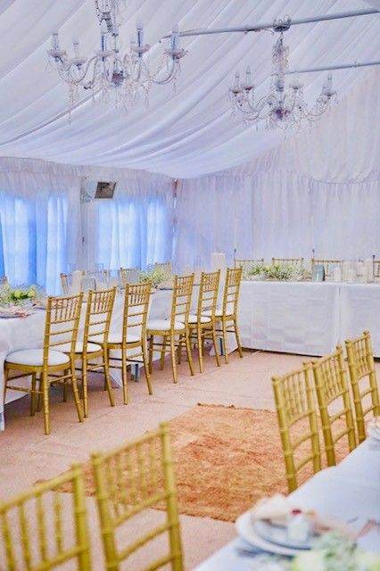 Gold Chaivari Chair Hire 