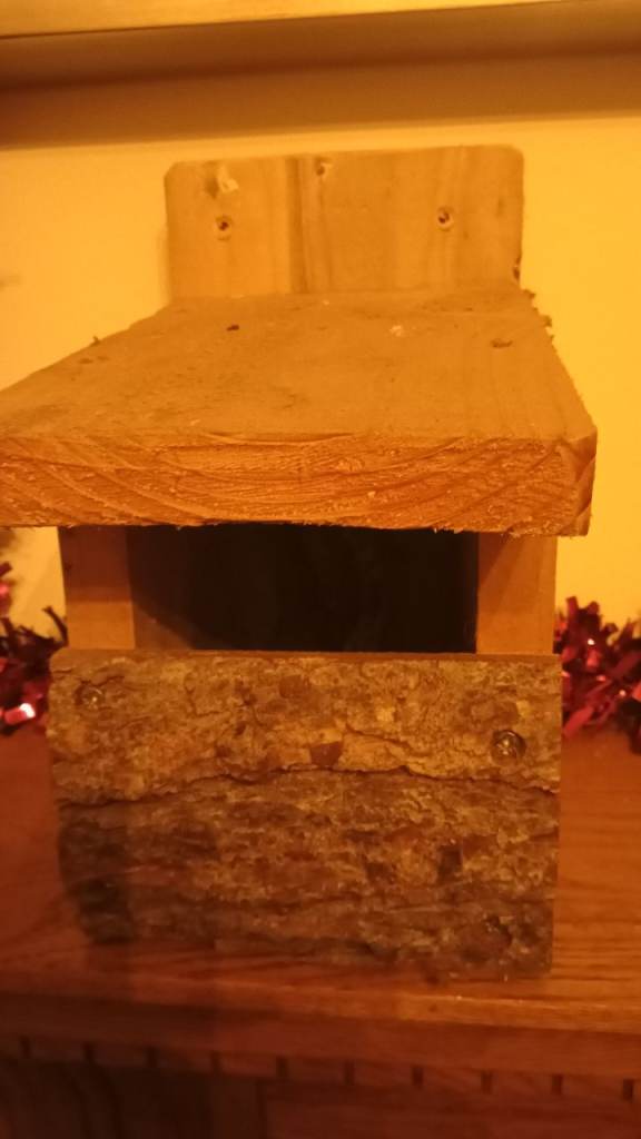 Robin nesting box new 