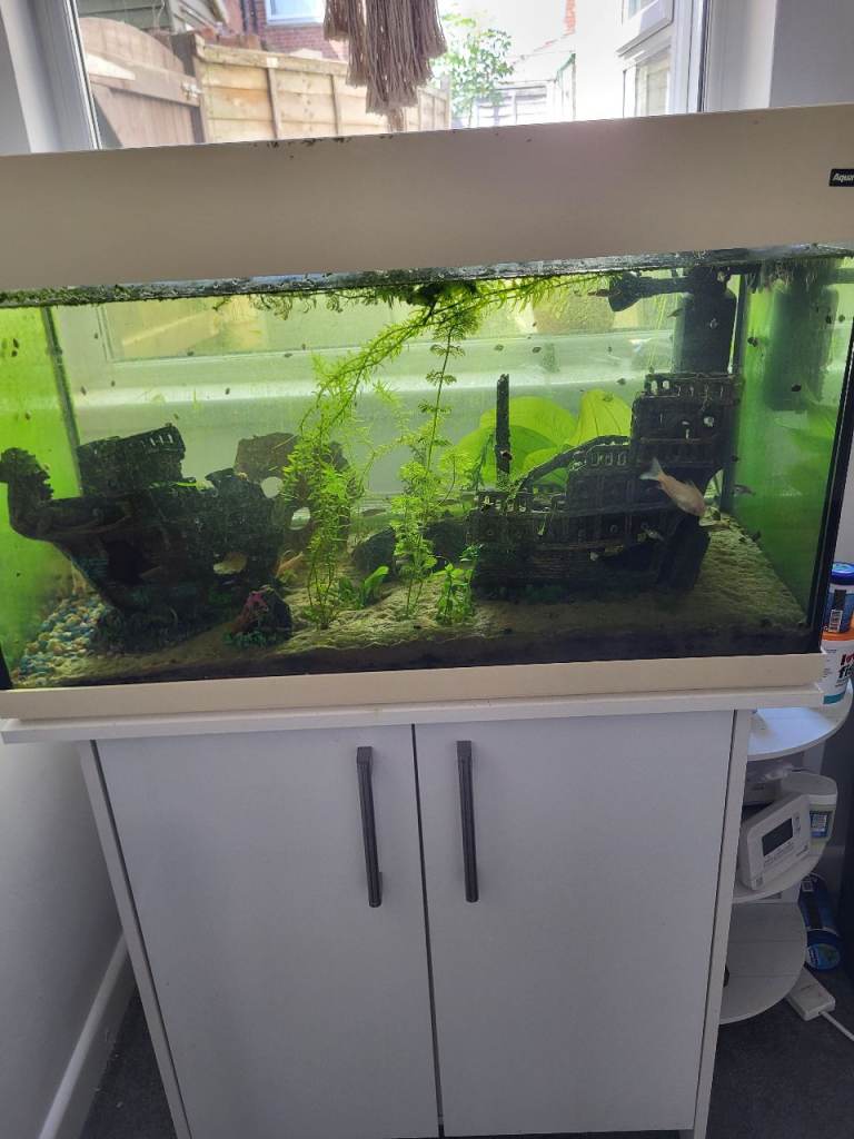 Large Fish Tank with Cabinet - Good Condition