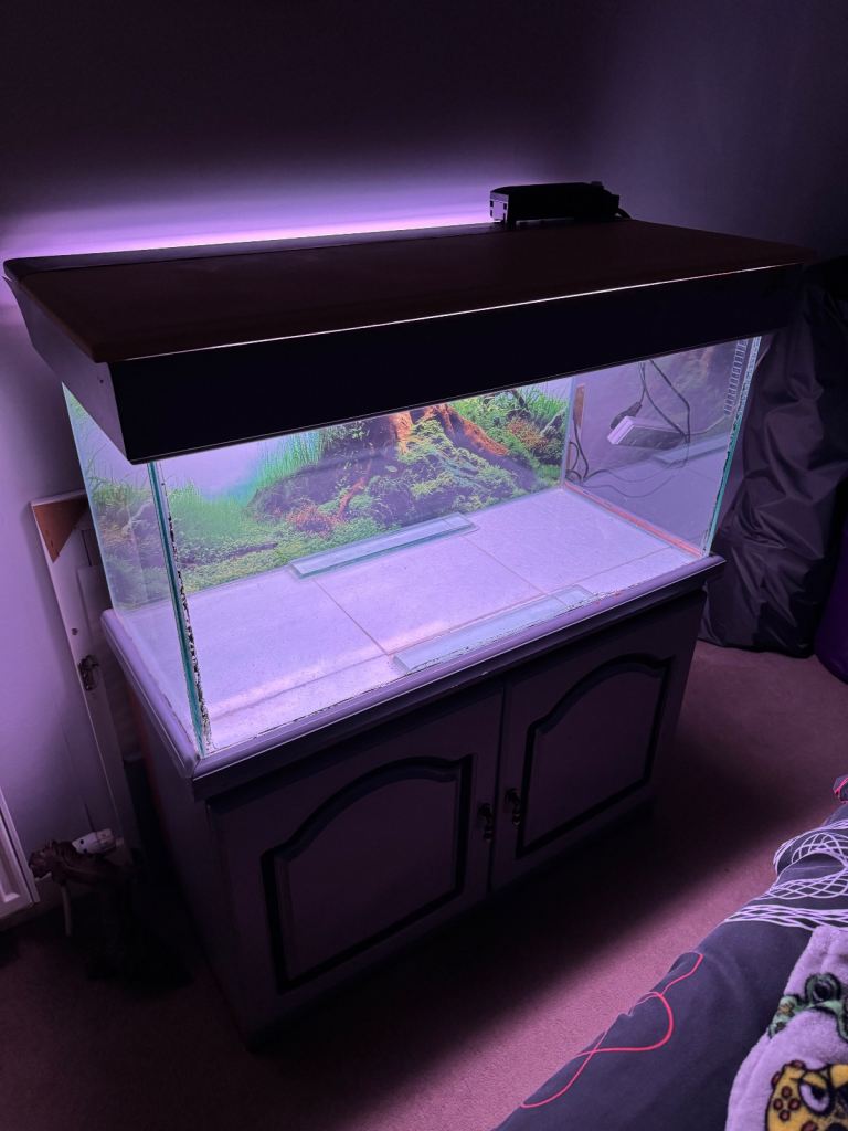 3ft fish tank