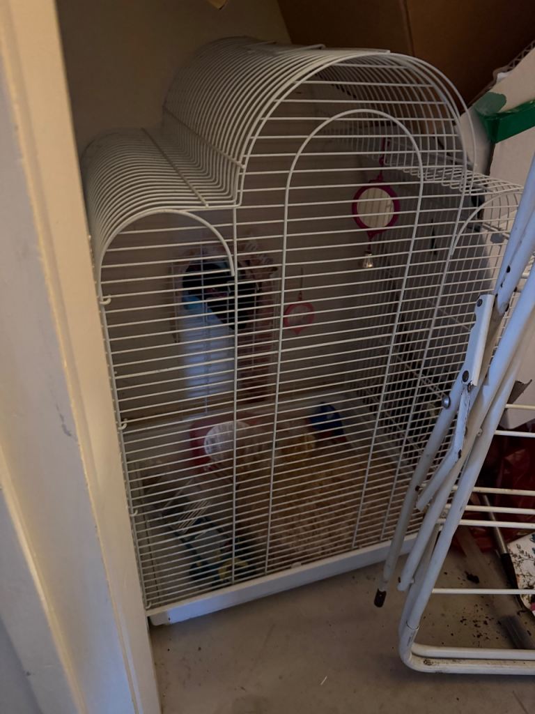 Bird cage 