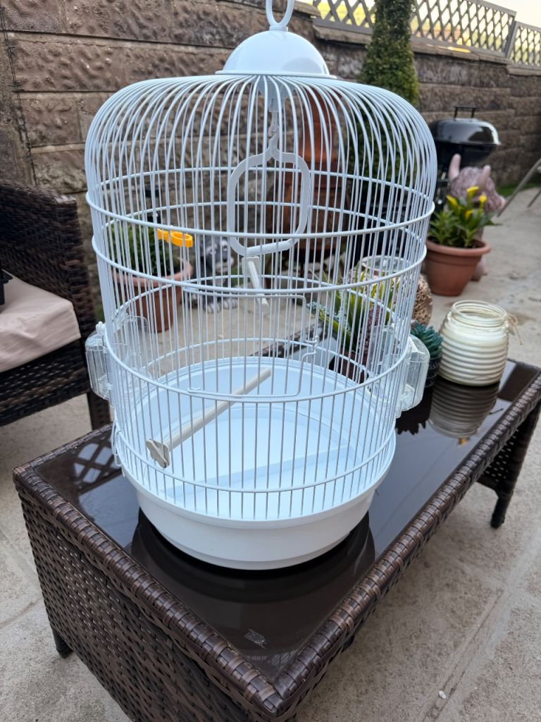 Bird cage 