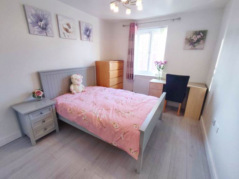 Double En-suite room looking for female lodger
