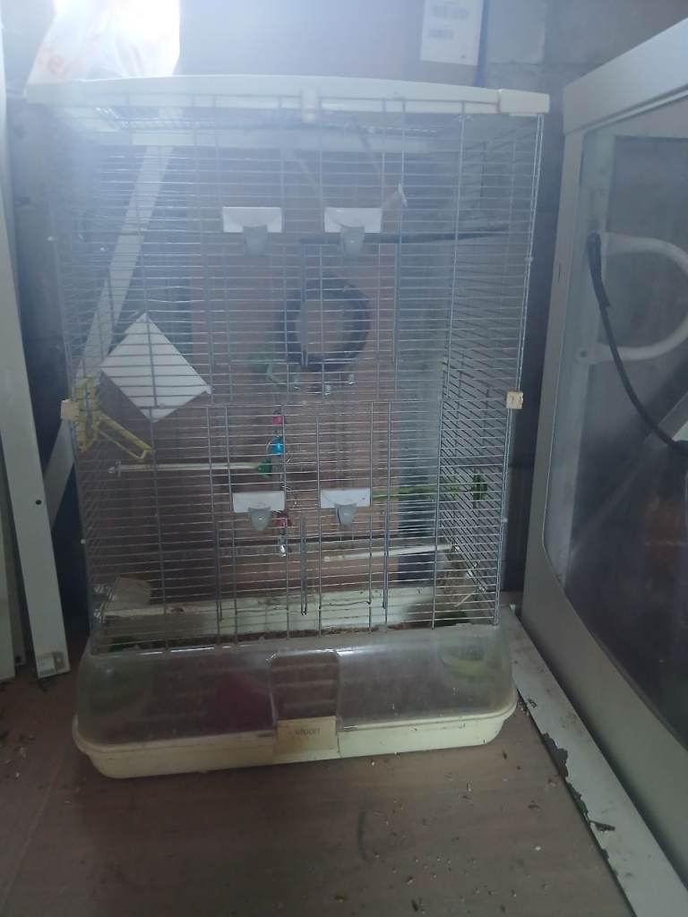 VISION cage forsale is IDEAL FOR BUDGIES OR CANARIES £35
