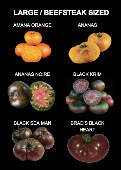 🍅 Heirloom Tomato Seeds - 32 Rare Varieties. Large Beefsteaks.  Postage Available