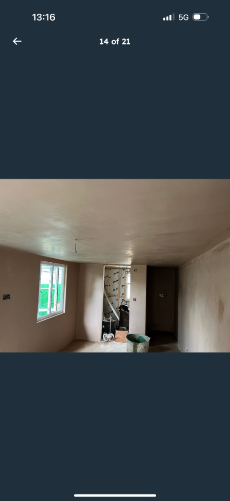 Professional plaster 