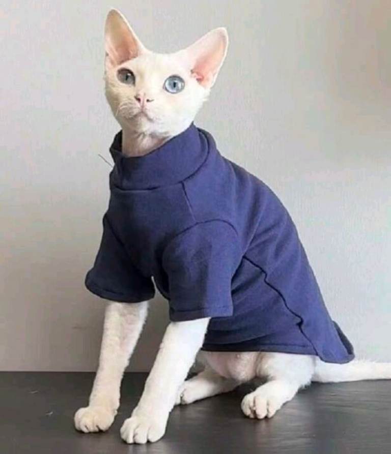 Cat T shirt Navy size XXL