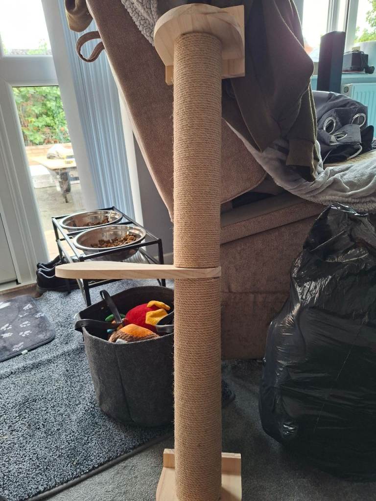 Cat scratcher
