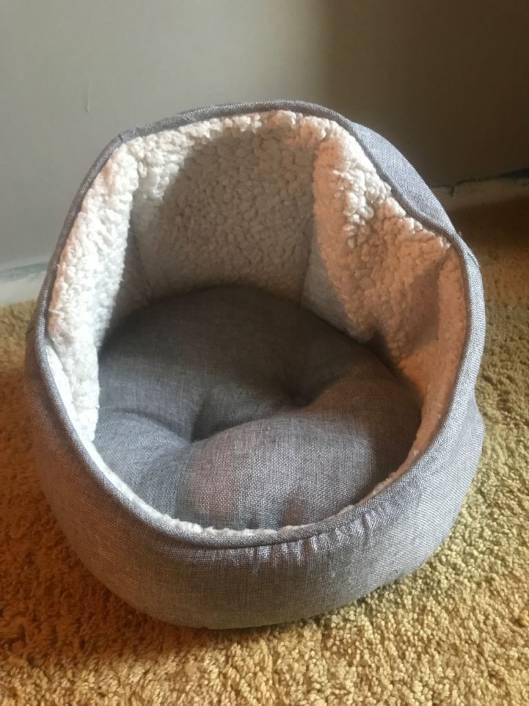 Cat bed and cat toys 