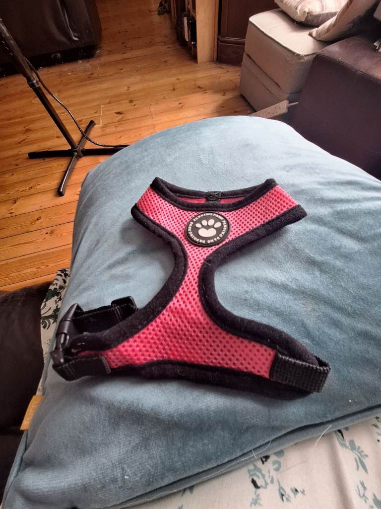 Puppy Harness