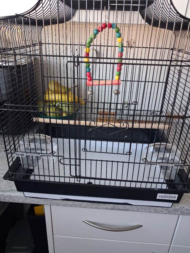 Bird cage