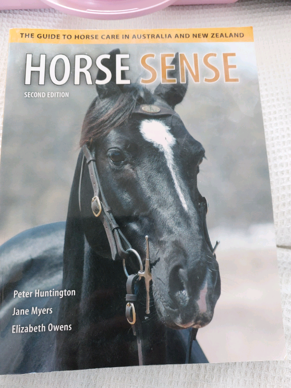 Horse Sense