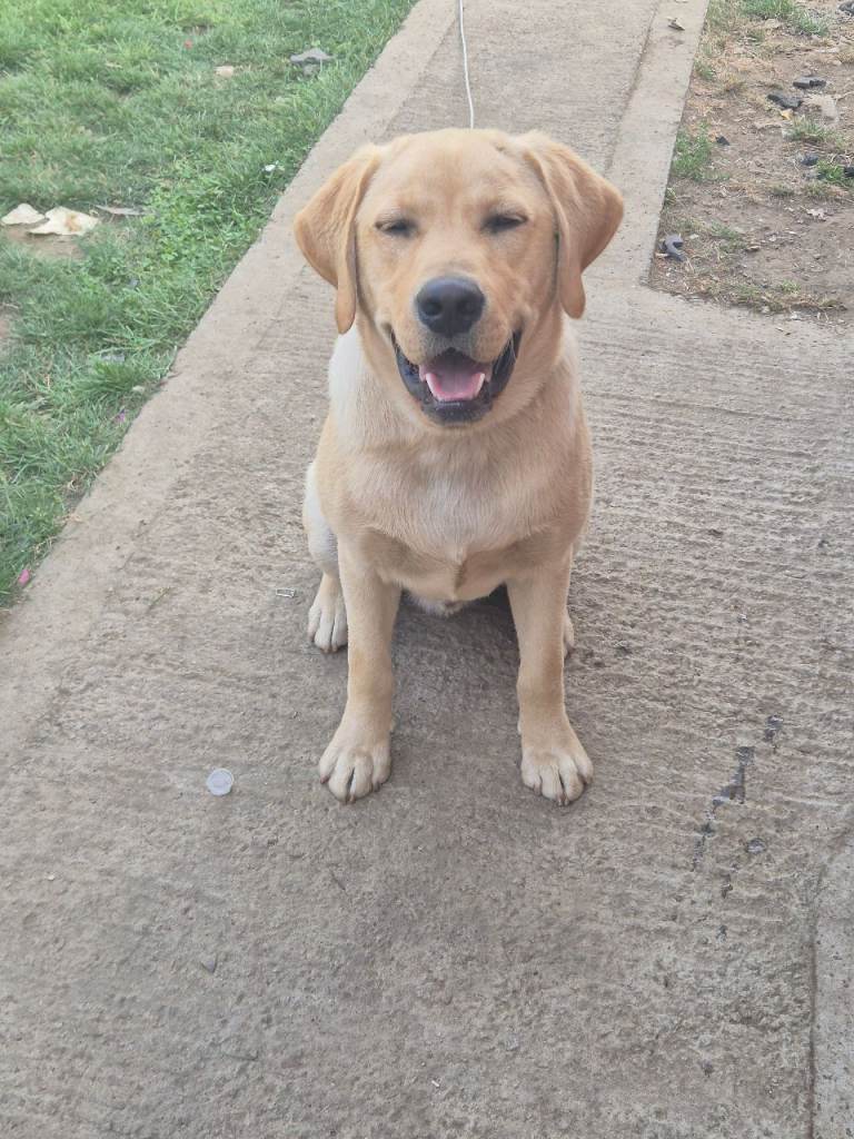 Marley 