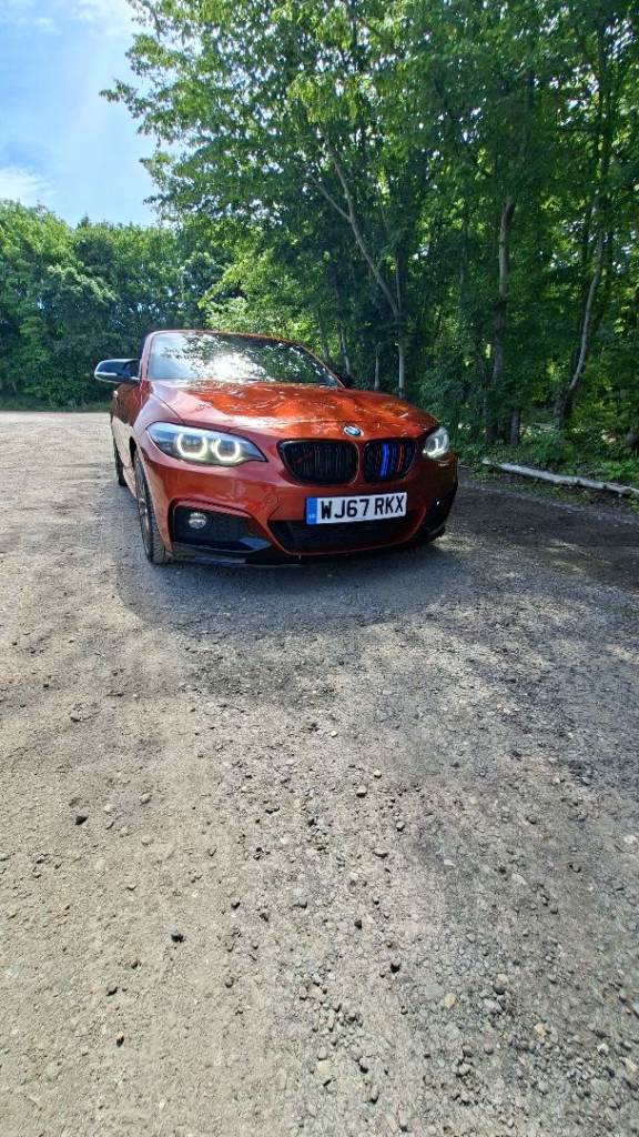BMW, 2 SERIES, Convertible, 2017, Semi-Auto, 1995 (cc), 2 doors