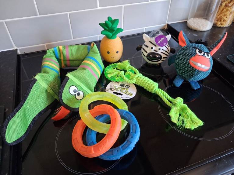 Dog toy bundle 