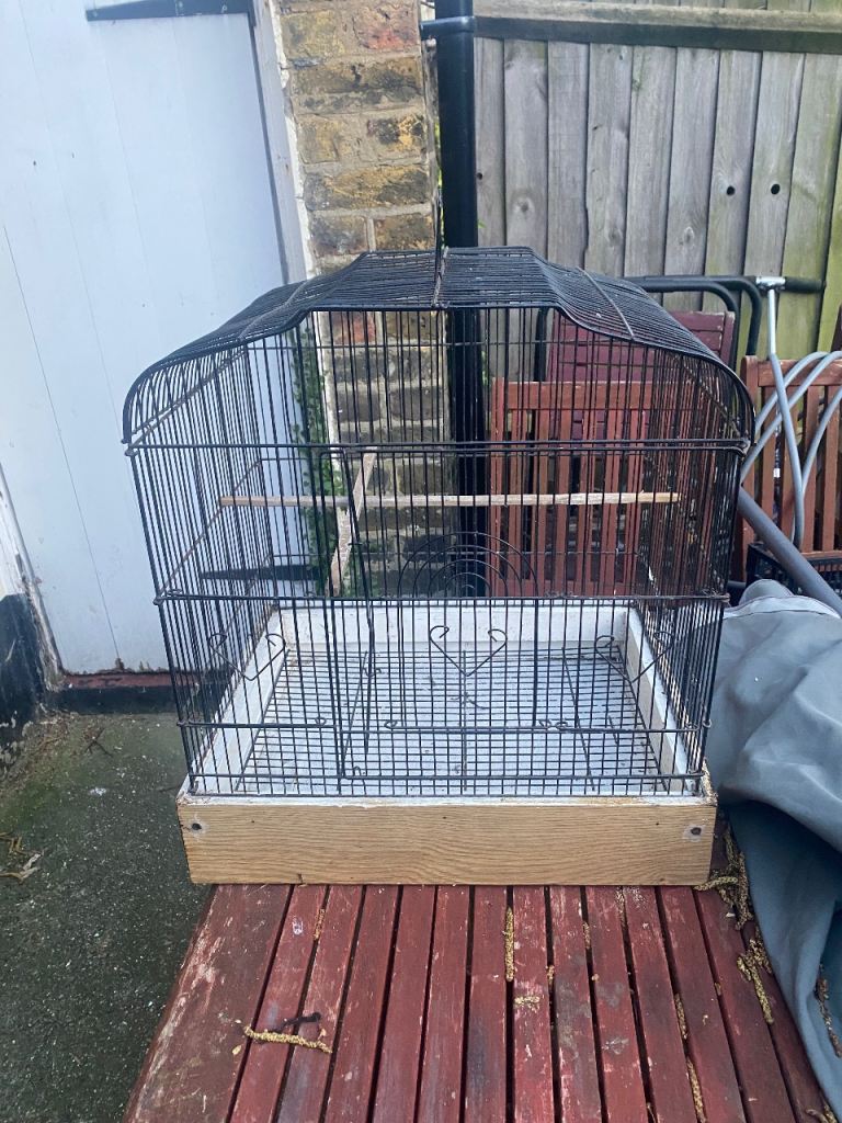 Bird cage 