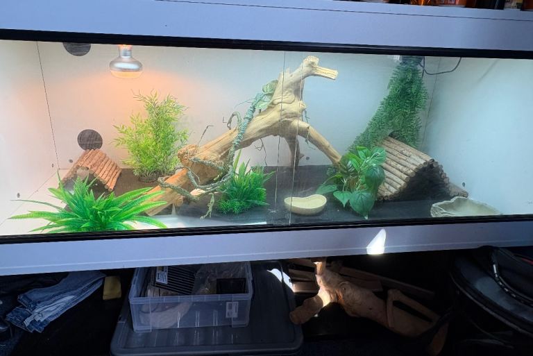 5ft Reptile ball python corn snake bearded dragon leopard gecko vivarium 