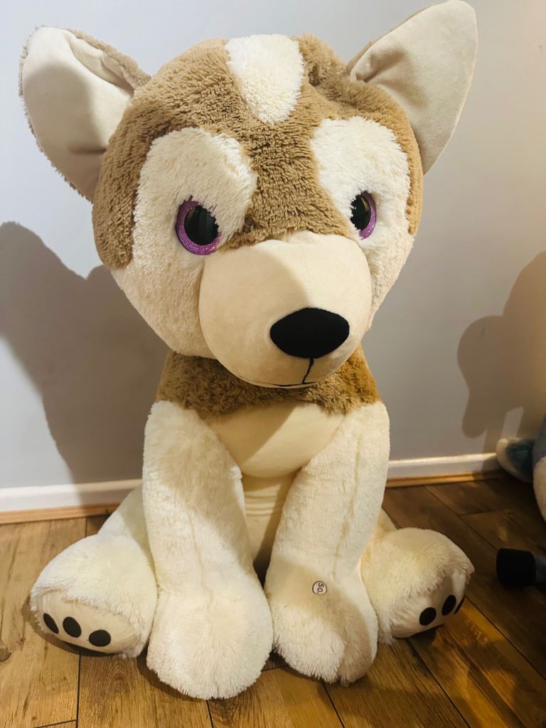Big husky