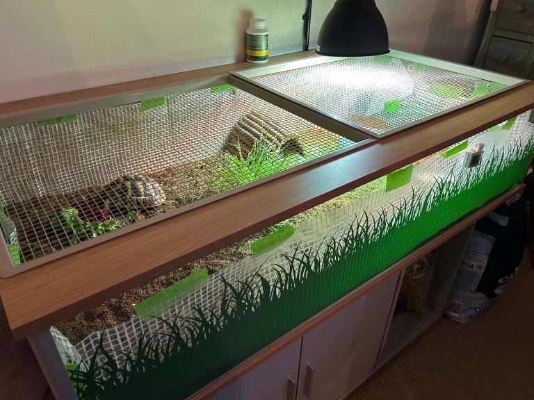 Vivexotic tortoise table 