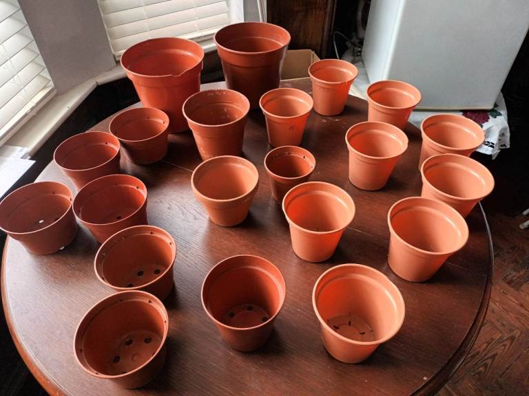 Assorted plant pots 