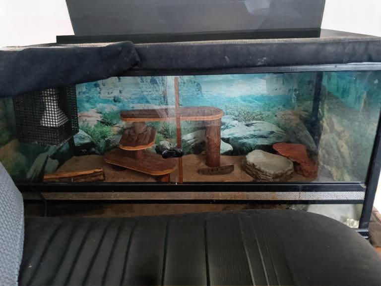 Vivarium