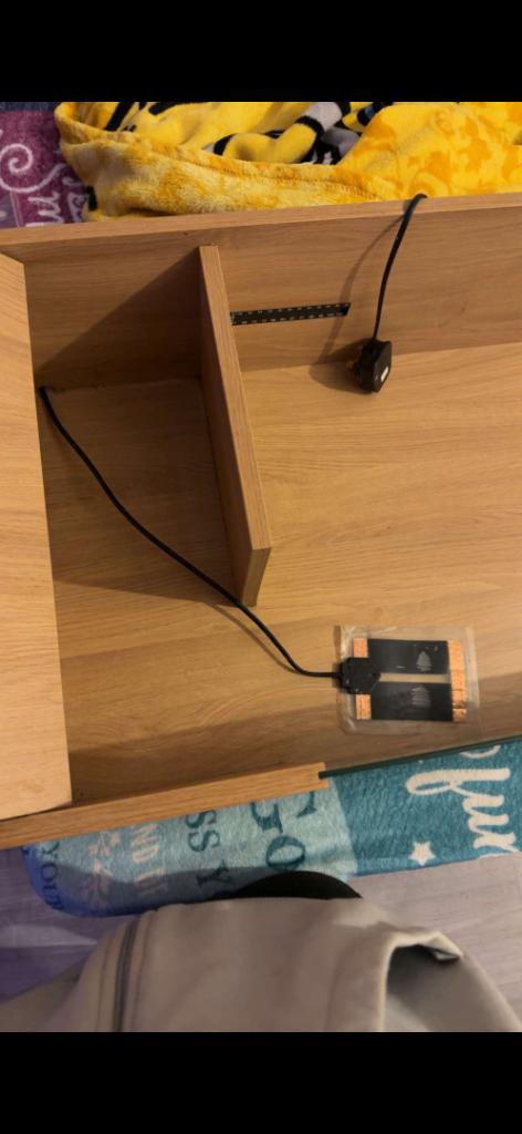 Tortoise table and heat mat