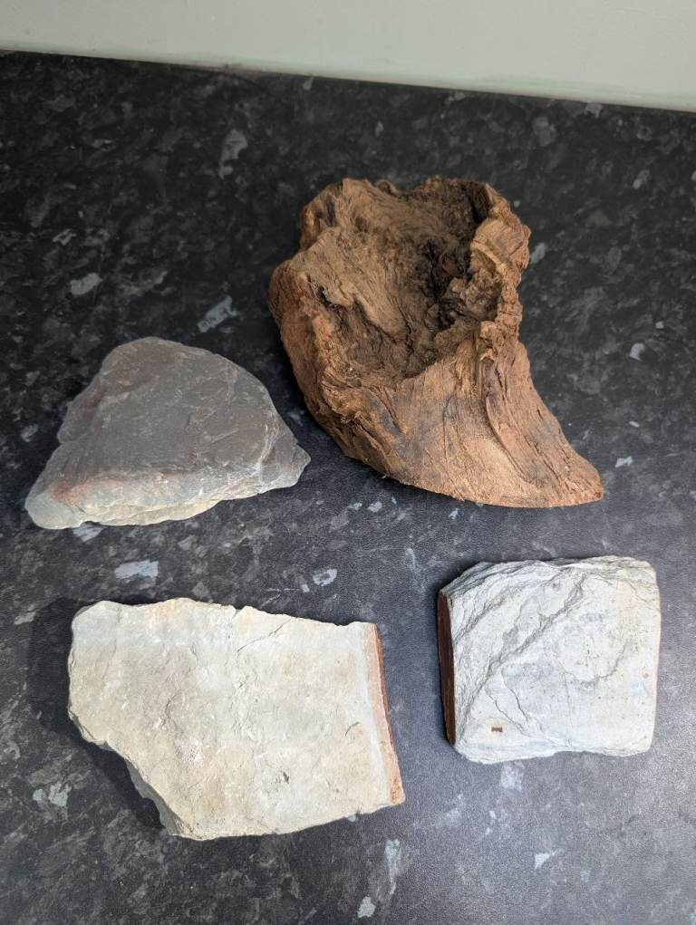 Aquarium Rocks and Driftwood