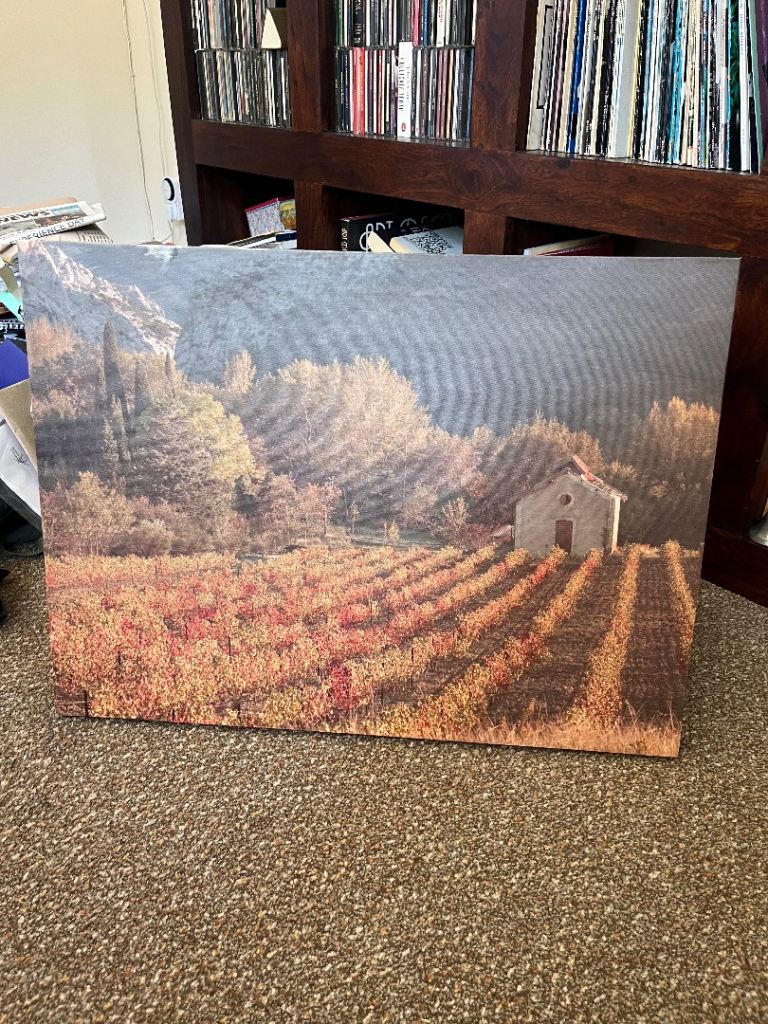 Large Canvas Print - Vineyard Scene, Good Condition