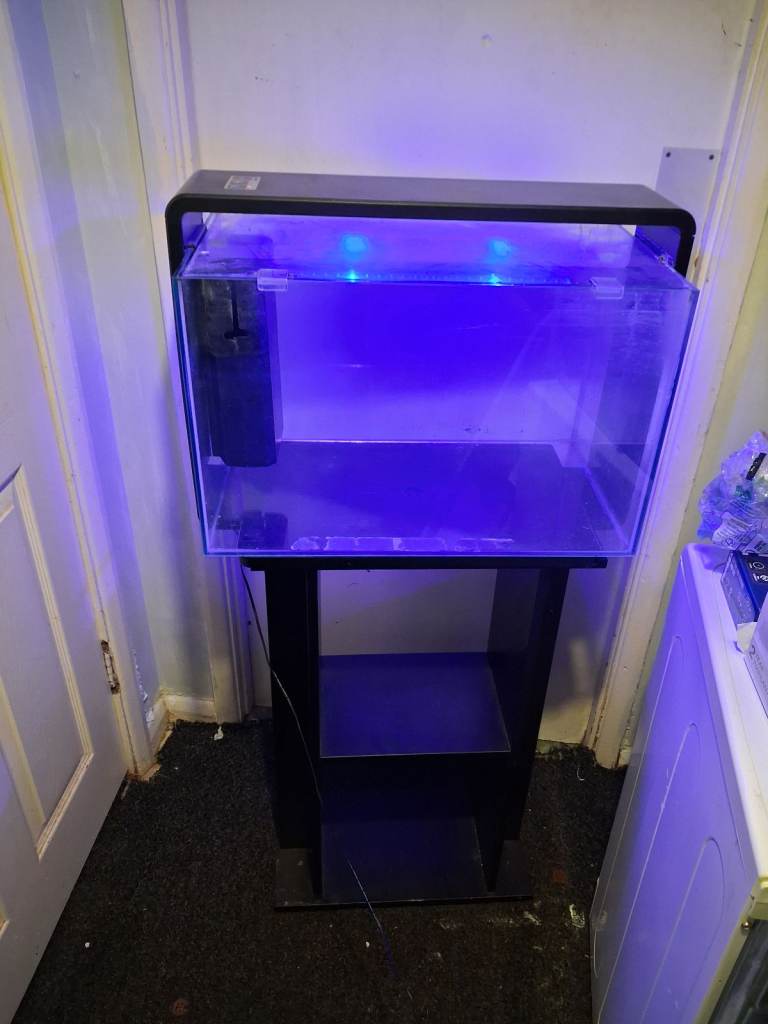 Fish Tank and stand 