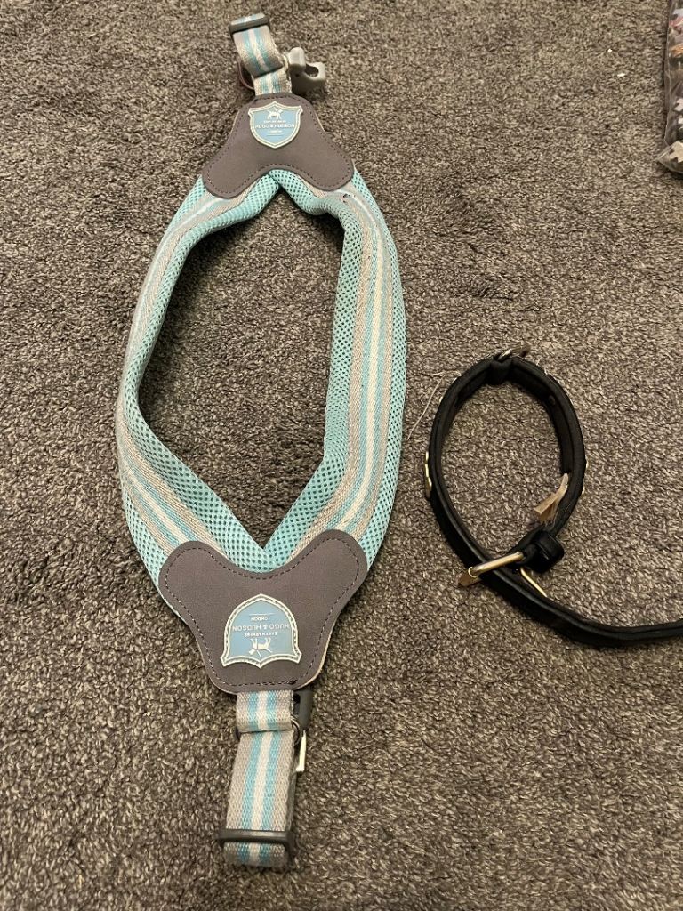 Dog harness and collar 