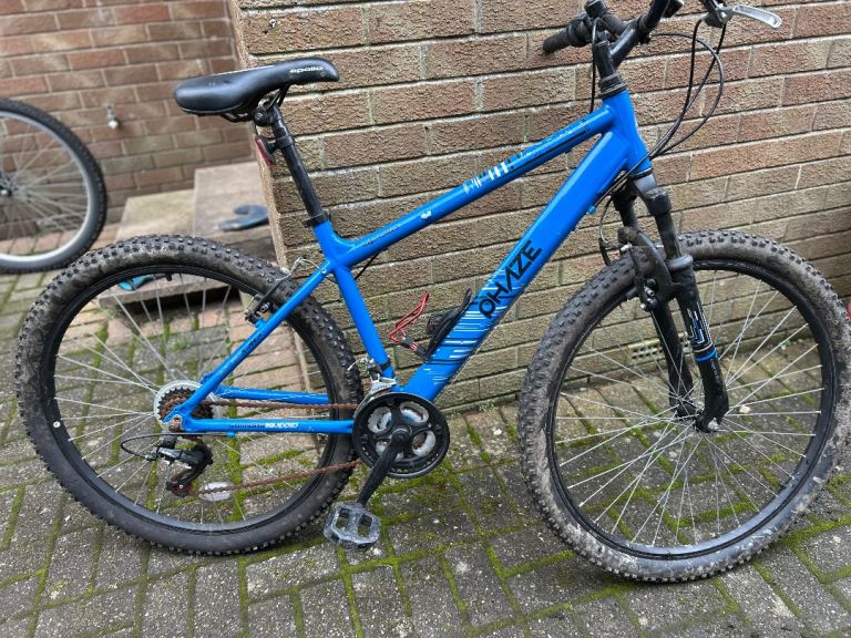 Male & Female adult bikes  X2