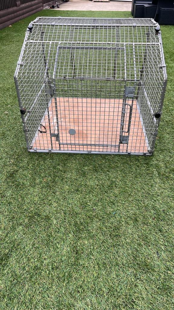 Car dog cage