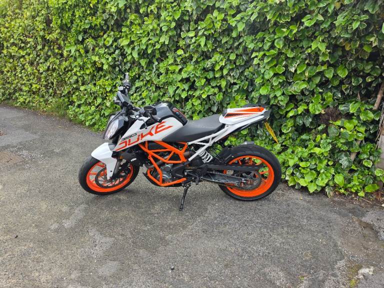 KTM, DUKE, 2019, 373 (cc)