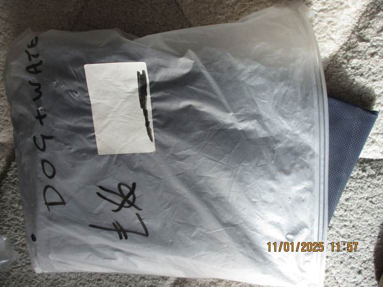 DOG POOL WITH FOUNTAIN