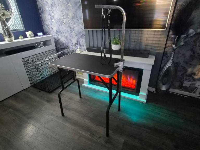 Dog grooming table 