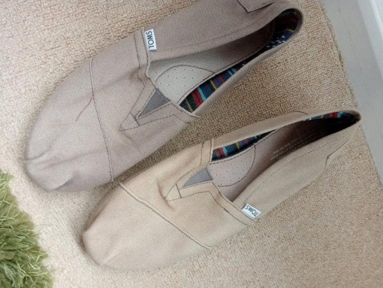 Mens Toms shoes