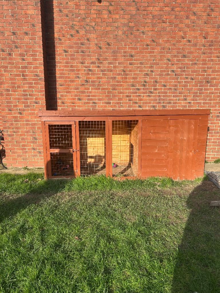 Large dog kennel and run 