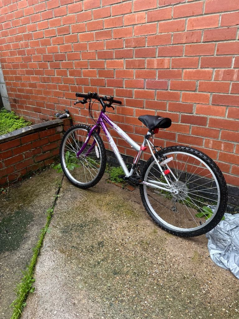 image for Adult bike