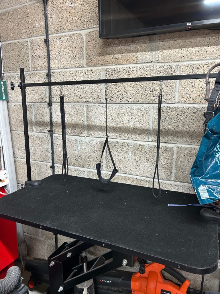 Adjustable Black Grooming Table for Pets