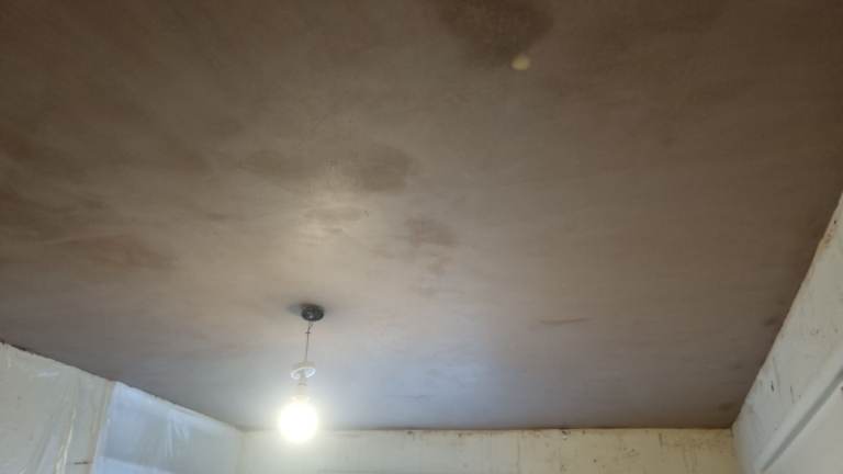 Professional plastering service 