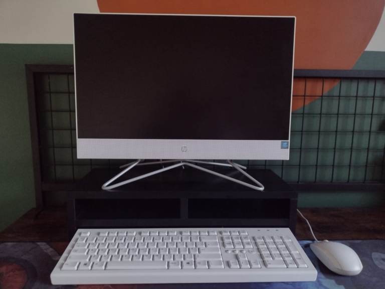 HP all in one PC