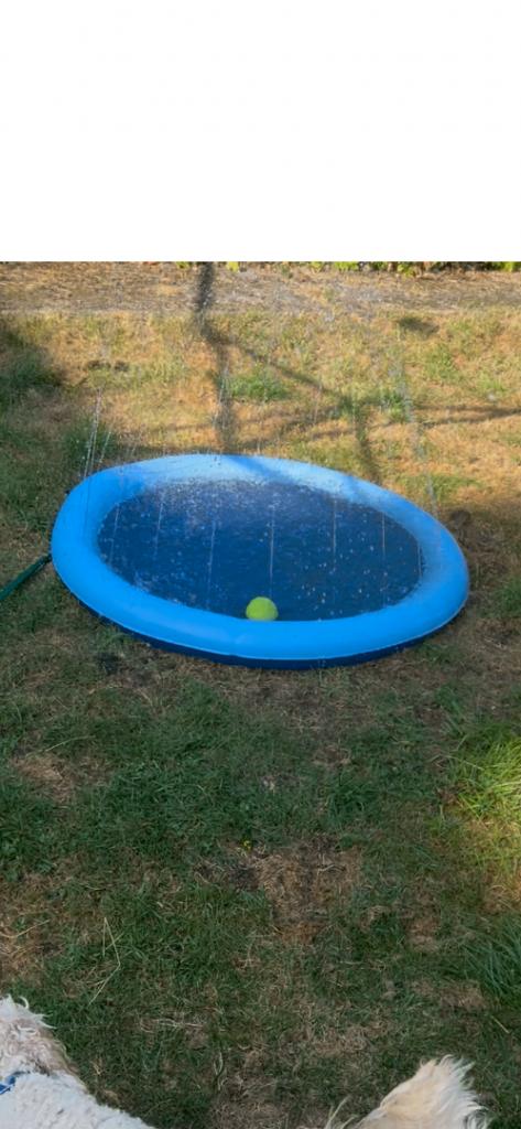 Pet/child splash fountain pool 