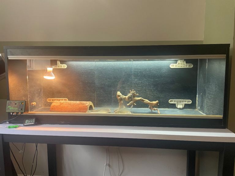 Large Vivexotic Vivarium with accessories 