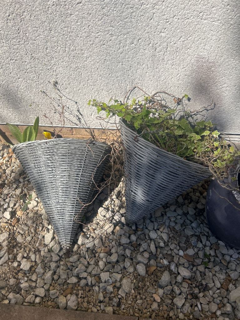 2 hanging baskets and 4 pots 